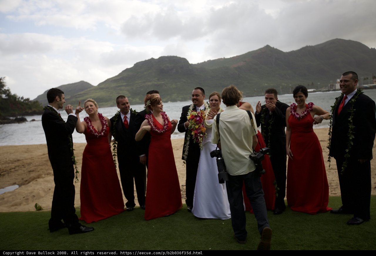 Wedding Bliss on the Beach