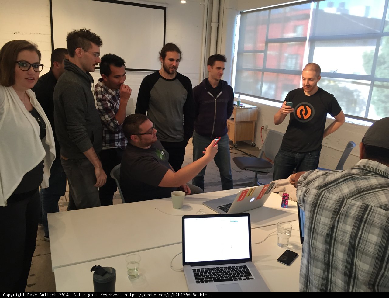 Group of Professionals Working on Laptops