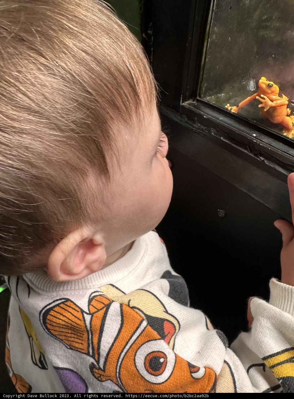 Baby's First Aquarium Experience