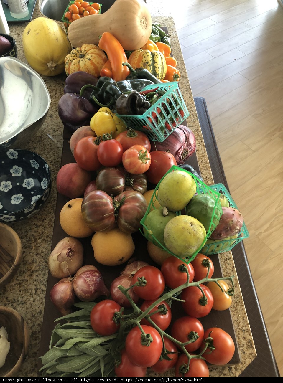 Bountiful Harvest