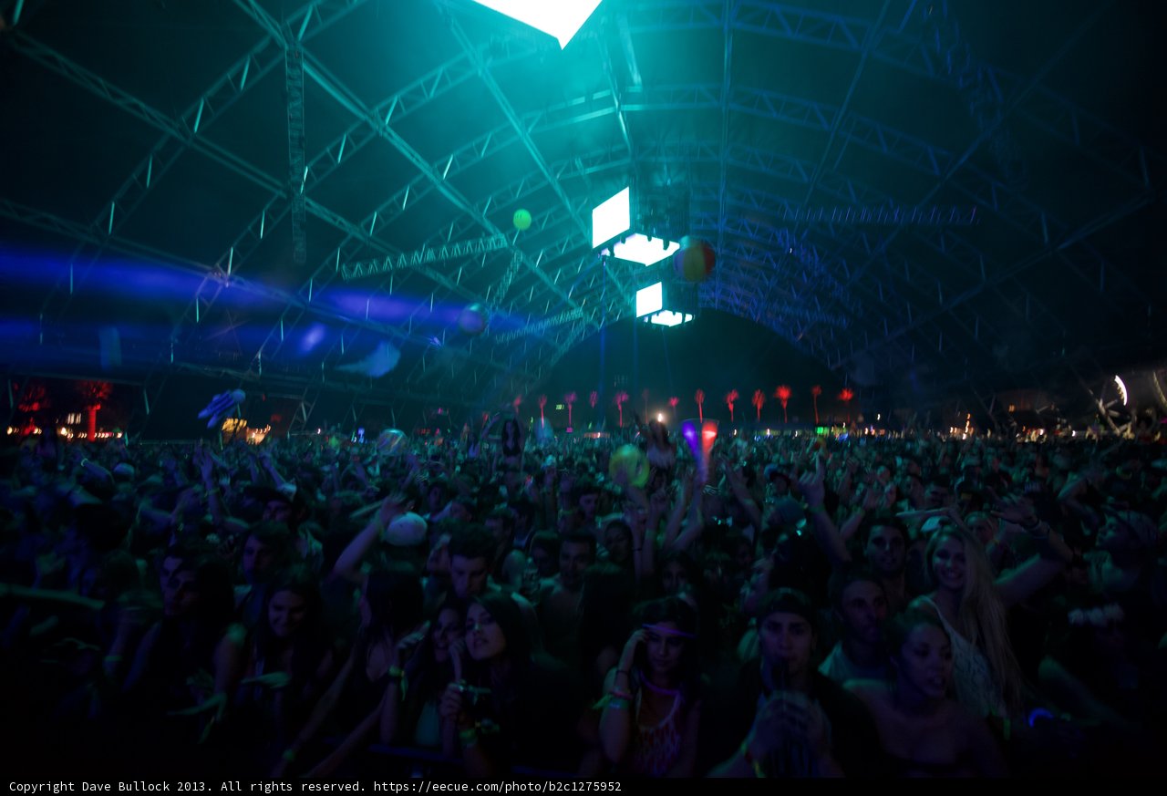 Coachella's Electric Crowd
