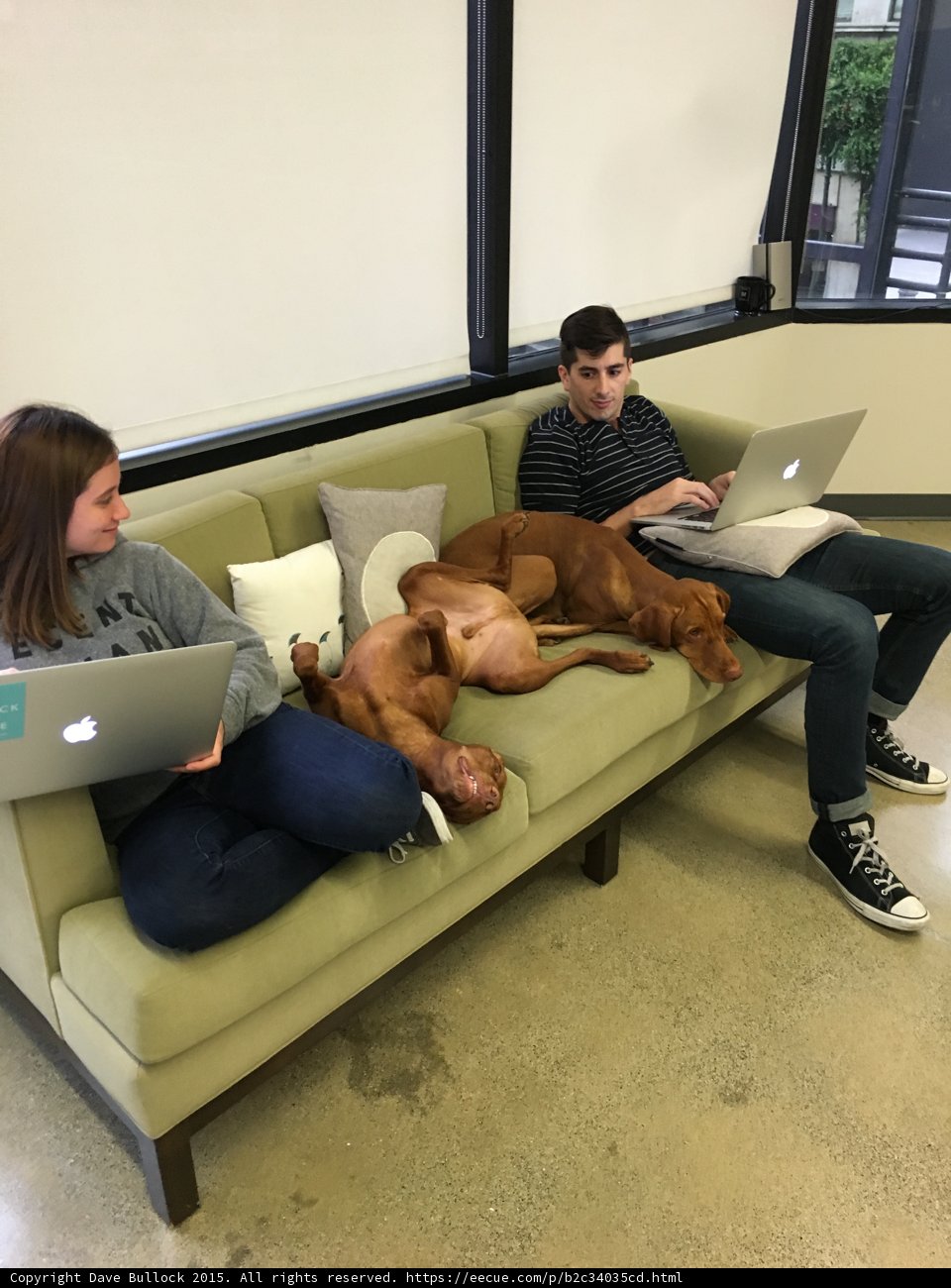 Relaxing with Our Furry Friends