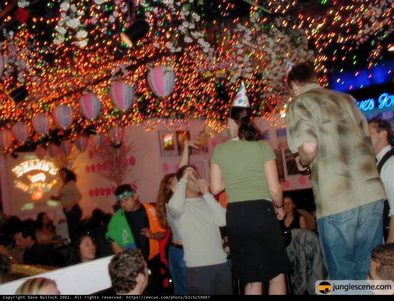 Night Club Party Madness