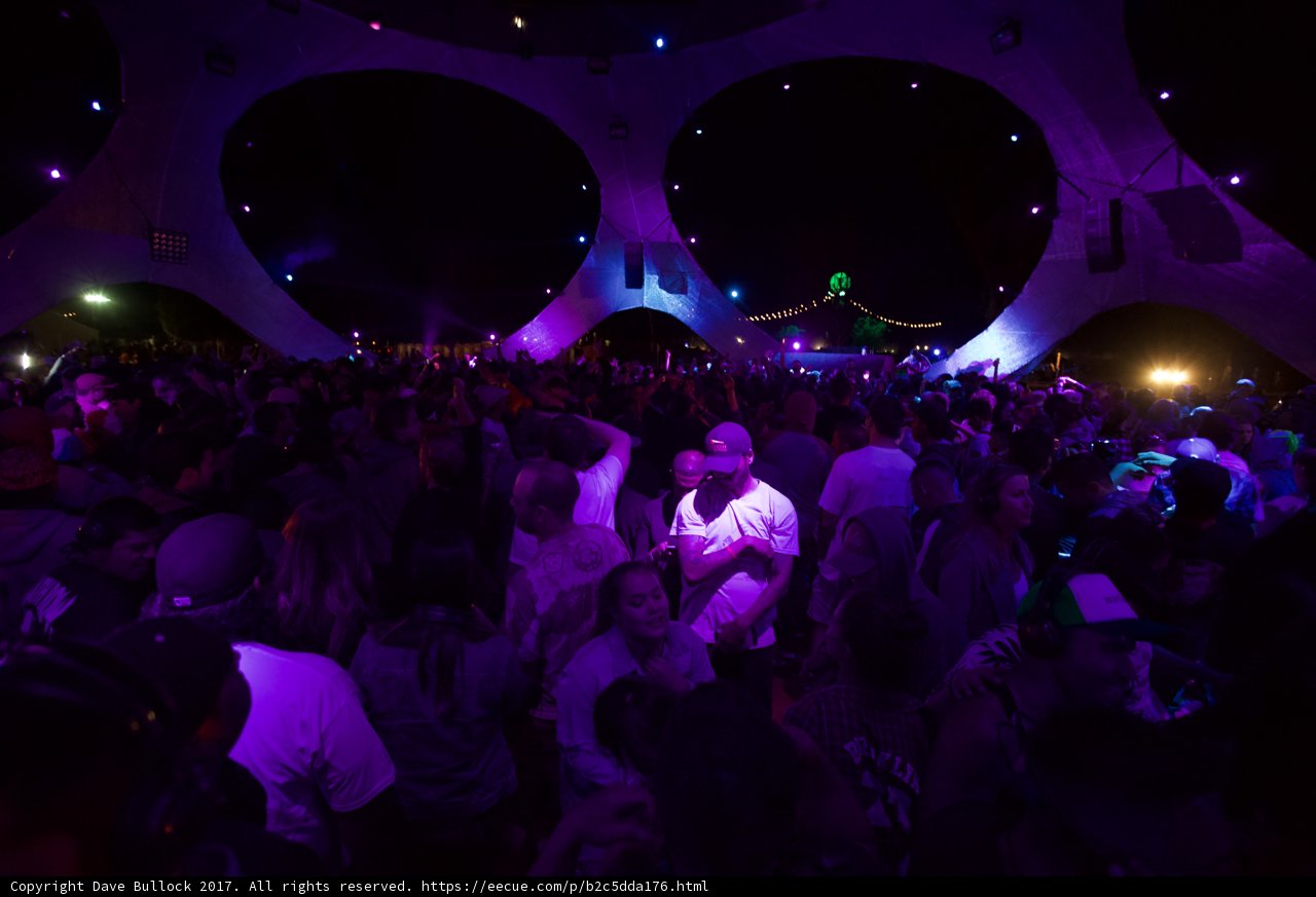 A Night to Remember: Dancing with the Purple Lights