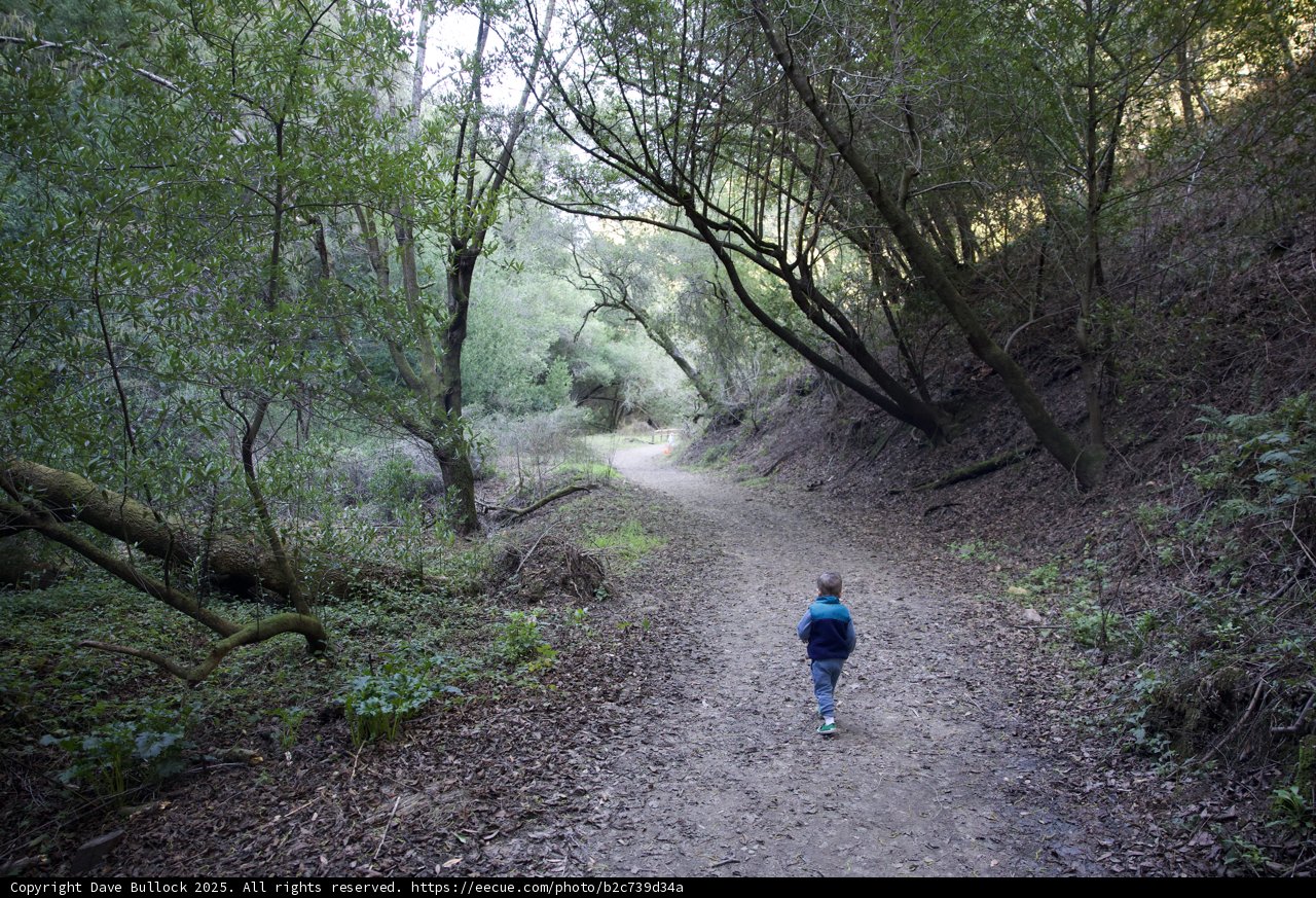 Journey Through Nature's Embrace