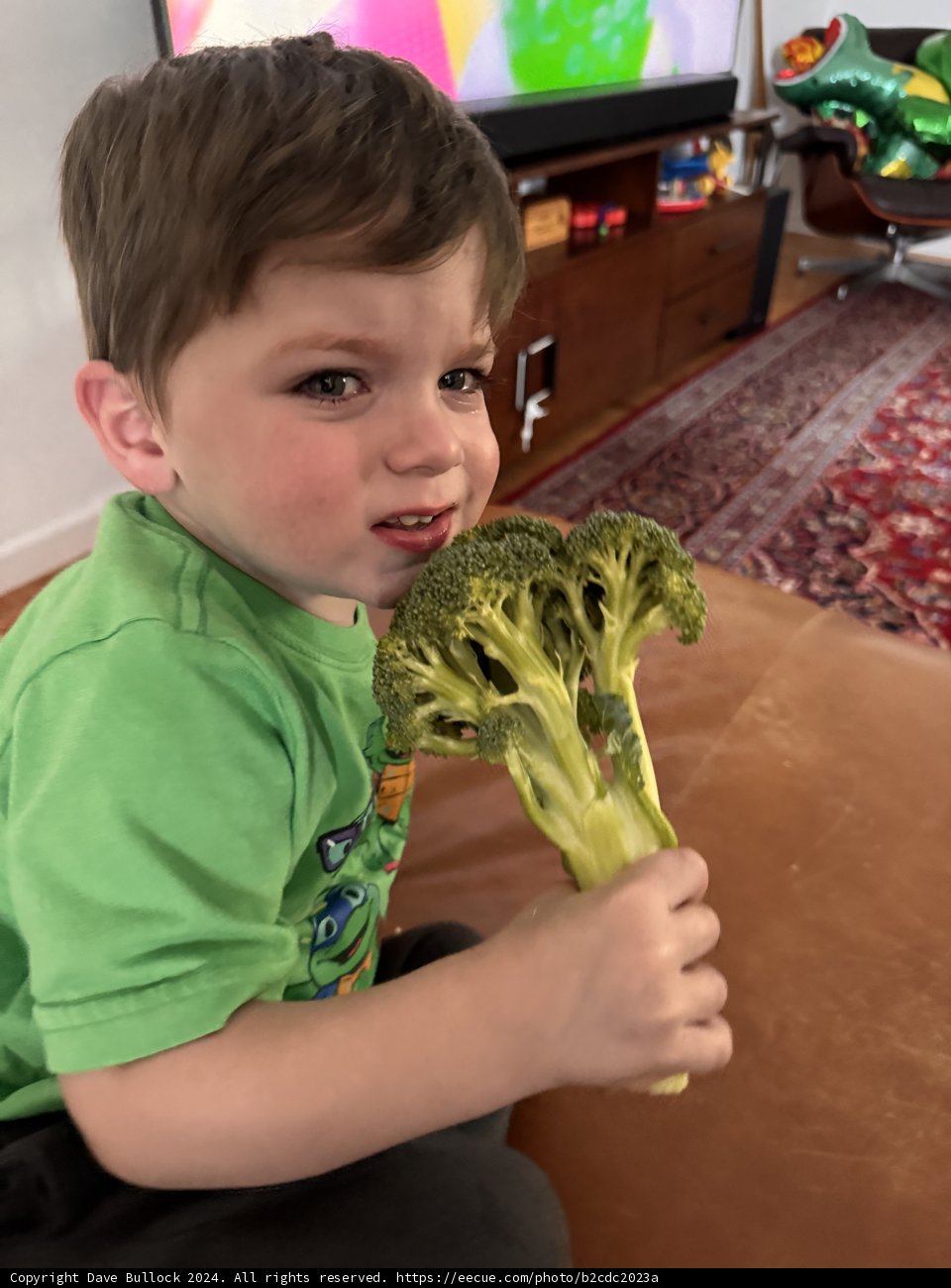 Broccoli Adventures
