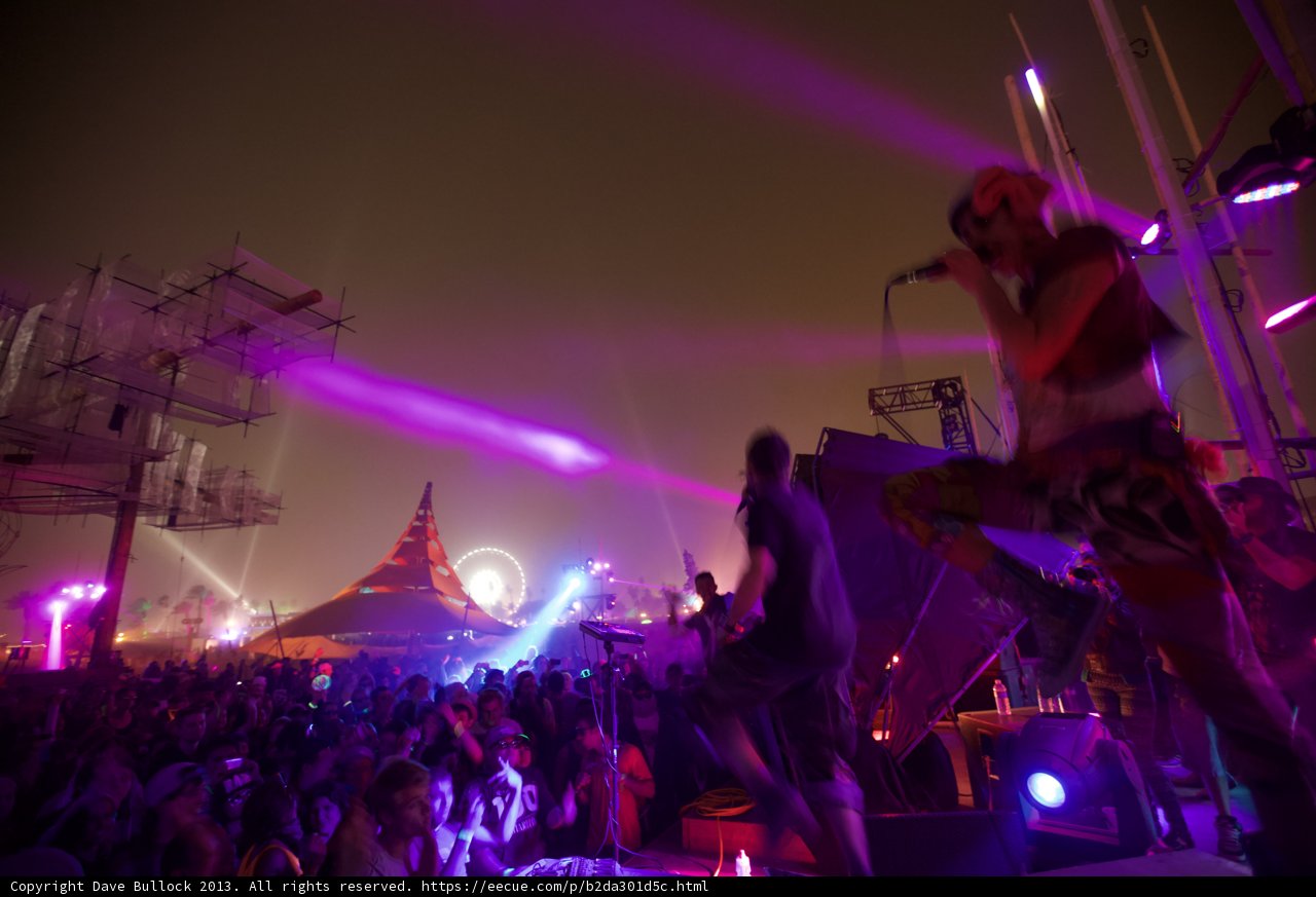 Burning Man Concert Crowd