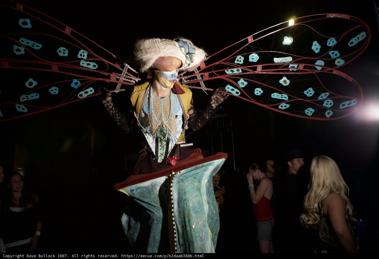 Butterfly Masquerade