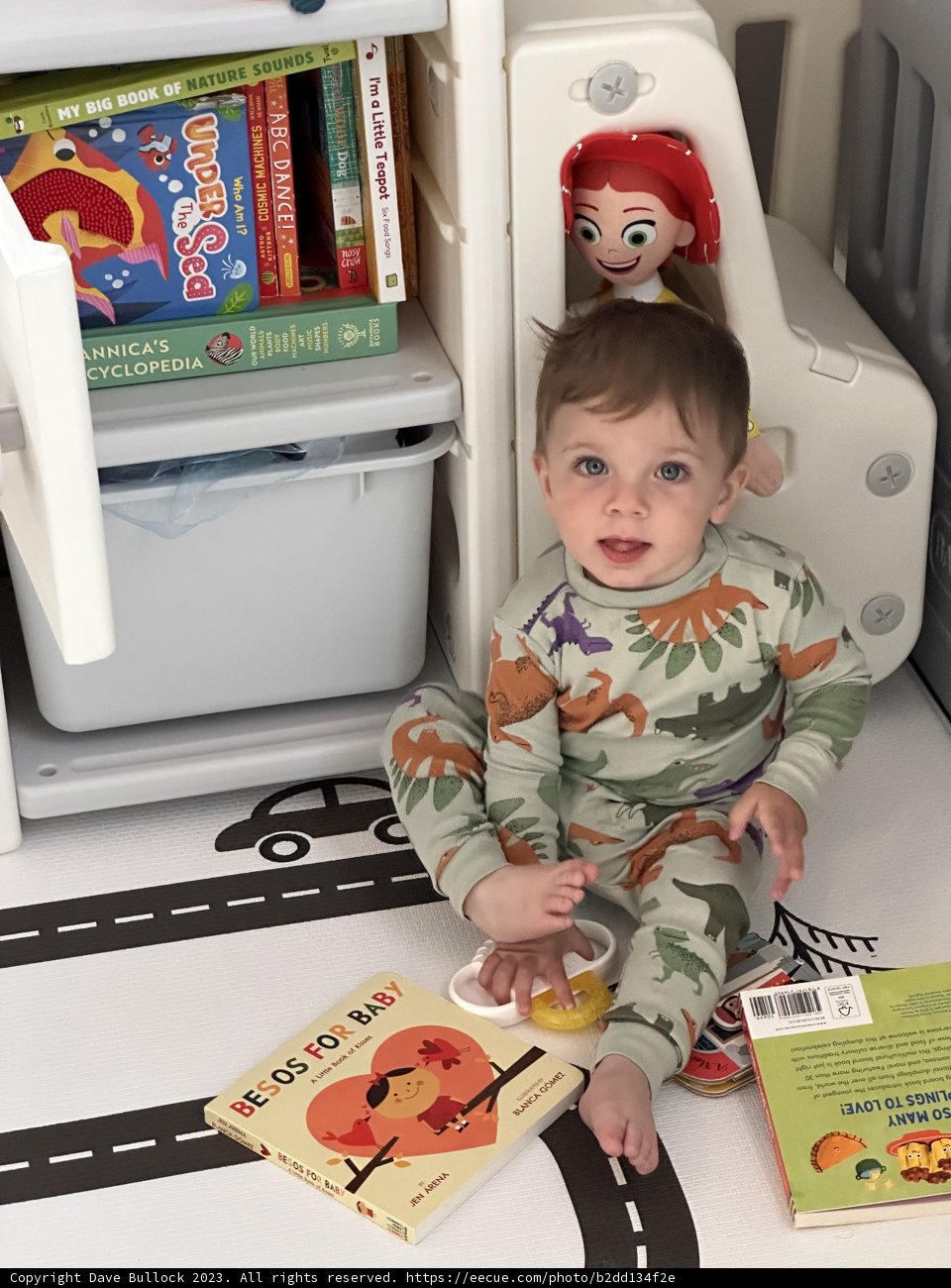 The Little Bibliophile: A Potty Training Adventure