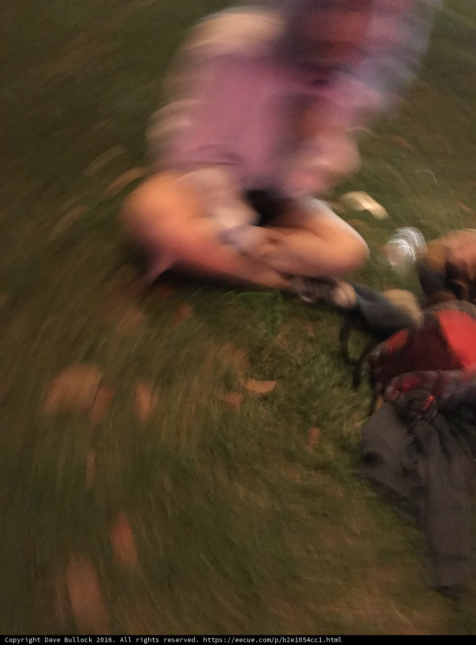Blurry Nighttime Rest