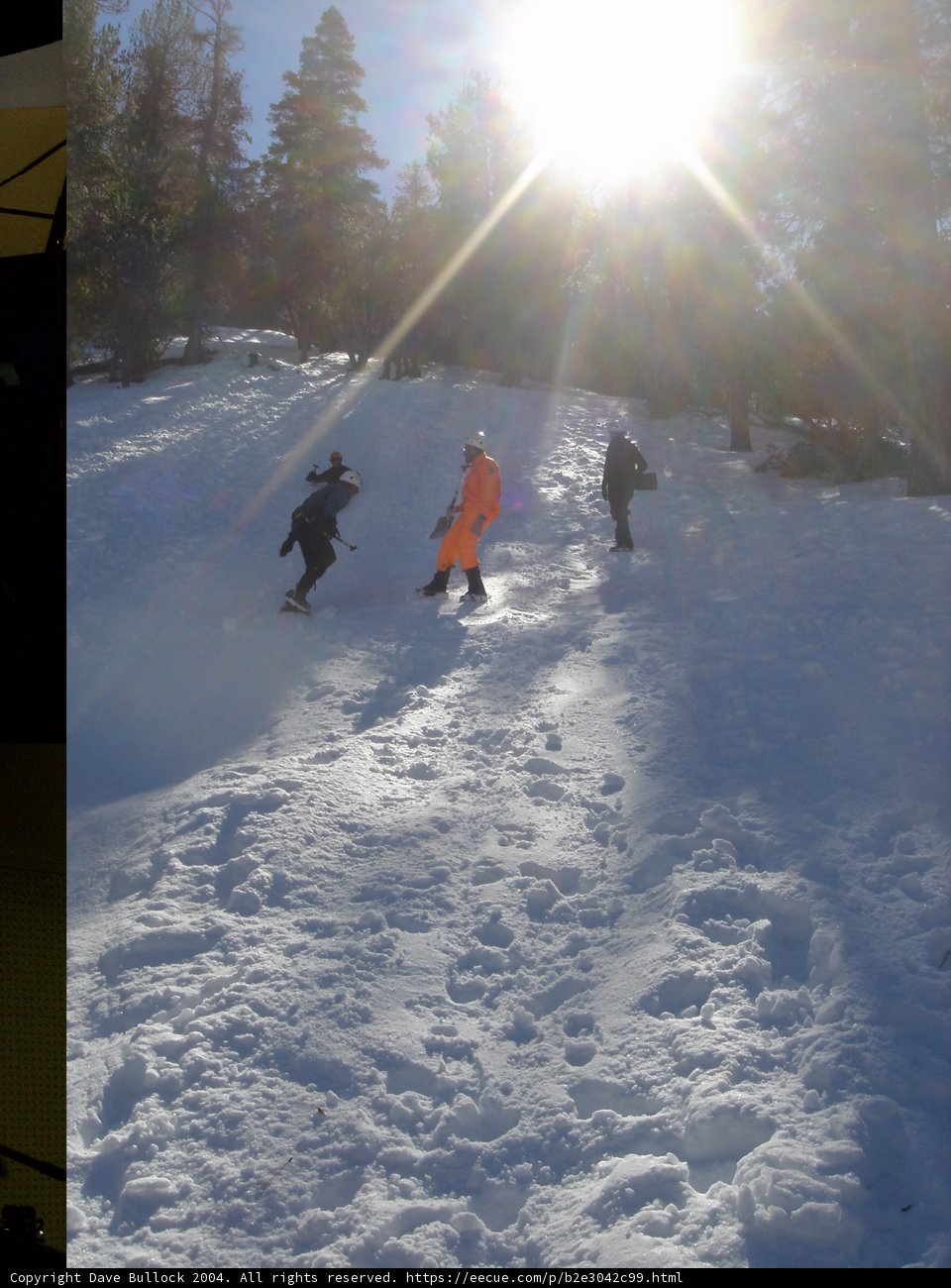 Snowboarding Fun in the Sun