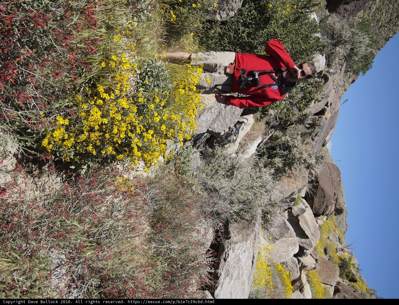 Standing Tall on Rocky Slopes