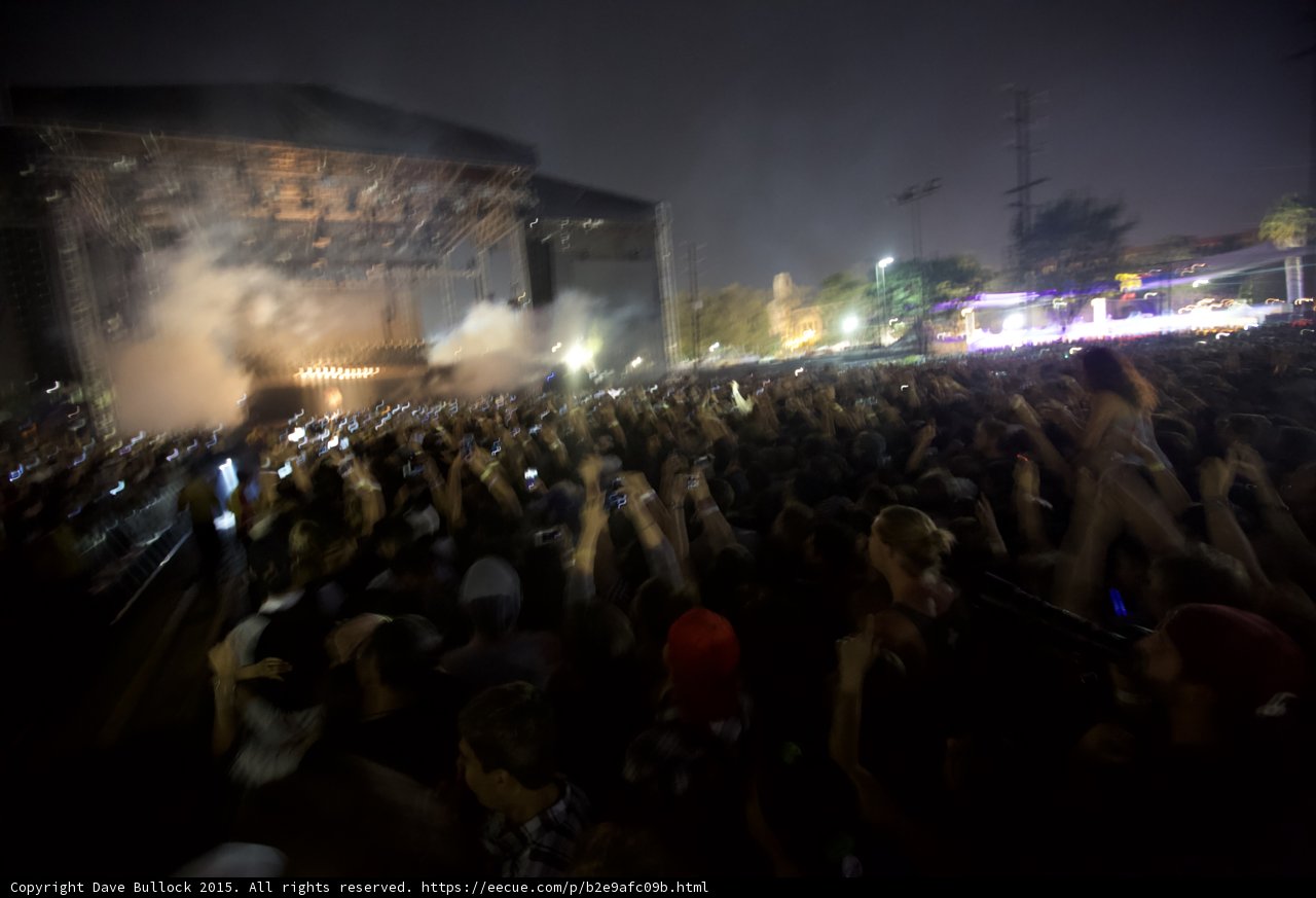 Massive Crowd Wide Shot
