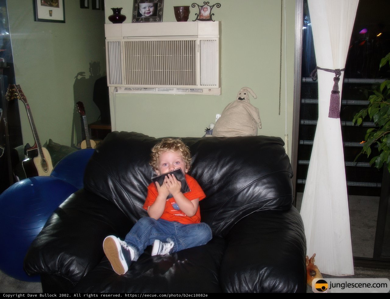 Portrait of a Young Boy in a Cozy Living Room