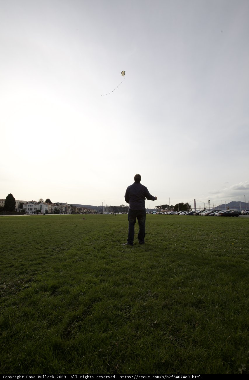 Kite flying in the field
