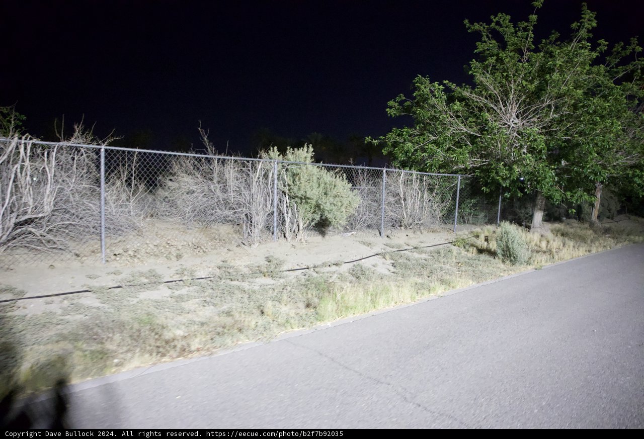 Midnight Seclusion: A Roadside Perspective