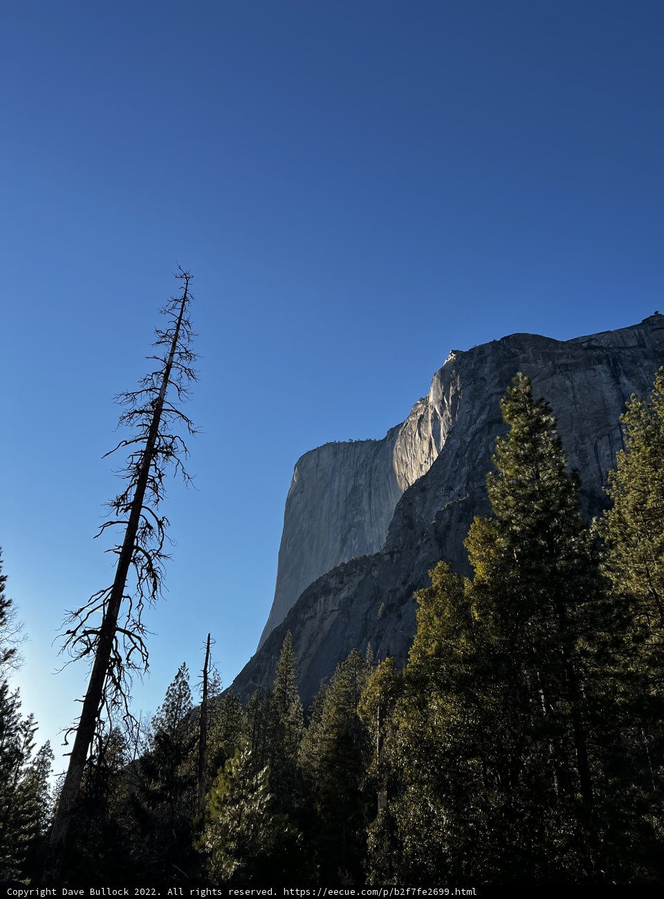 Majestic Half Dome Amidst California's Picturesque Landscape