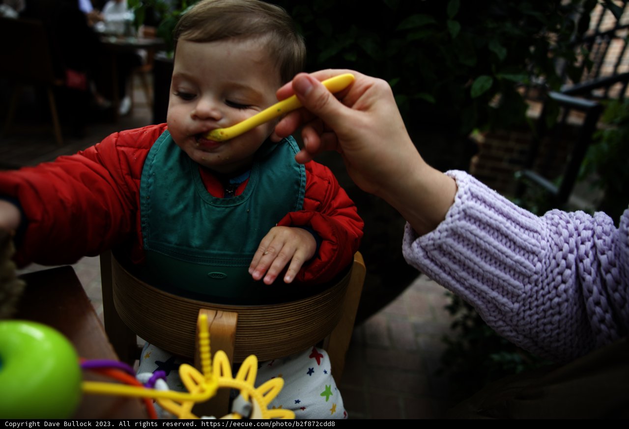 Little Food Explorer at Charter Oak Potluck