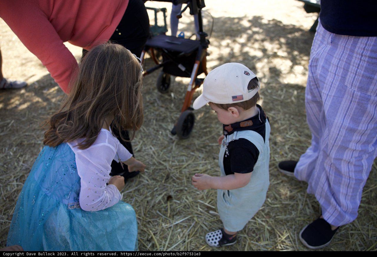 Farmyard Frolics at the Pumpkin Patch