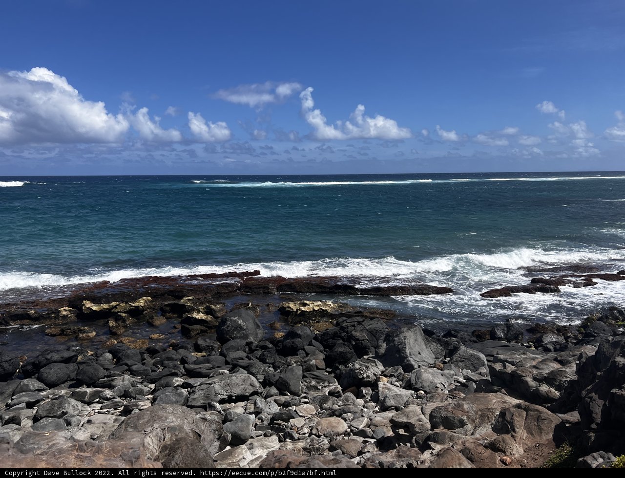 Rocky Shoreline with Crashing Waves