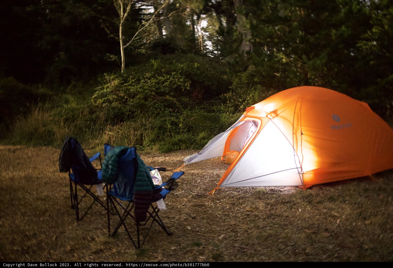 Embracing Wilderness at Presidio, 2023
