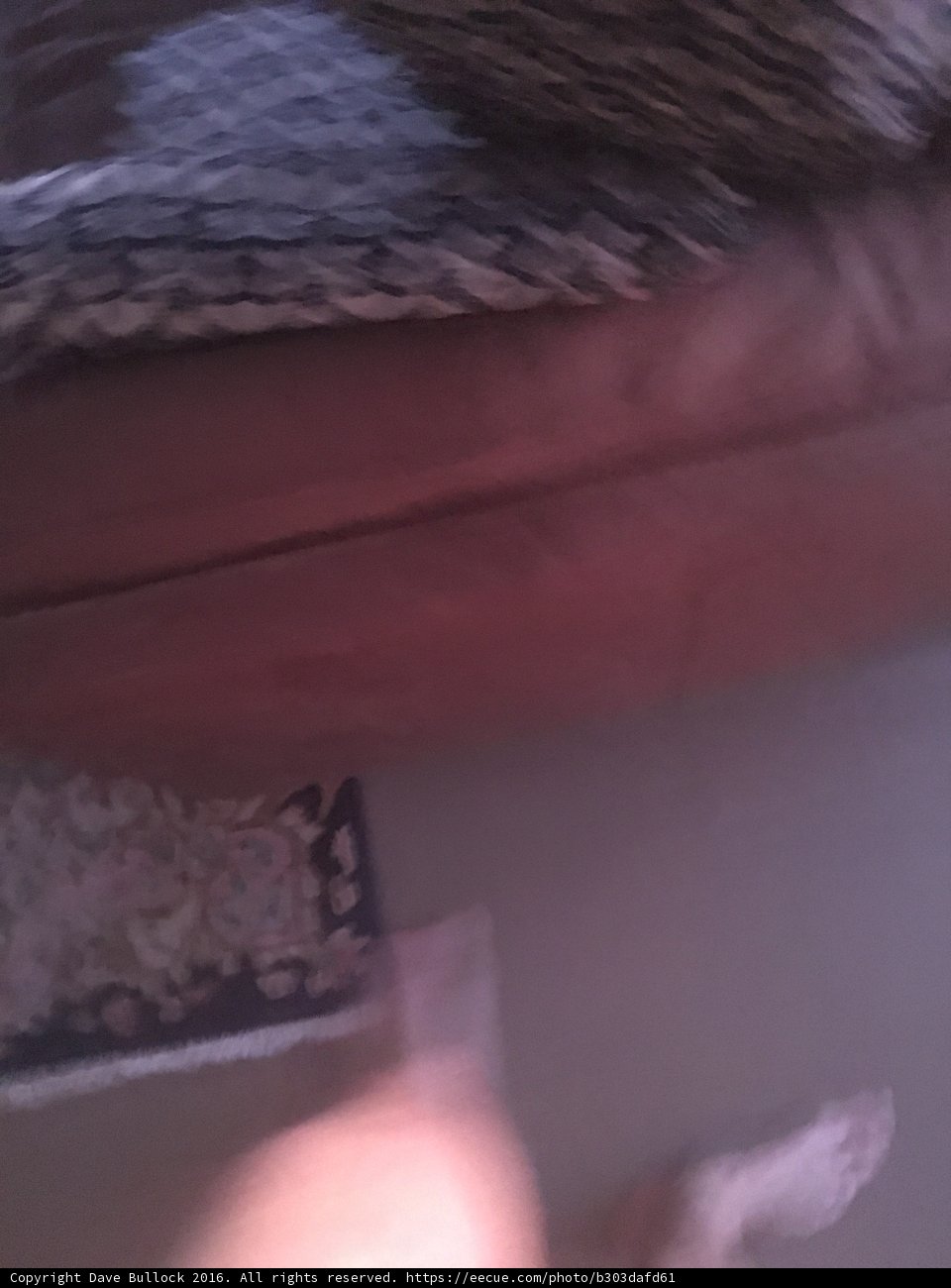 Blurry Figure Stand on Couch