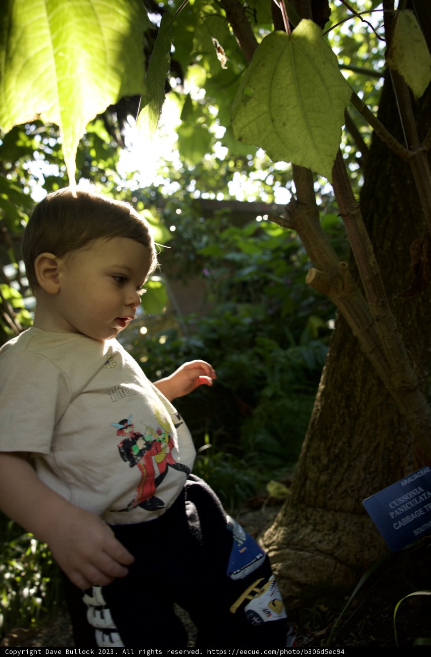 Adventure Blooms: A Childhood Odyssey in Nature