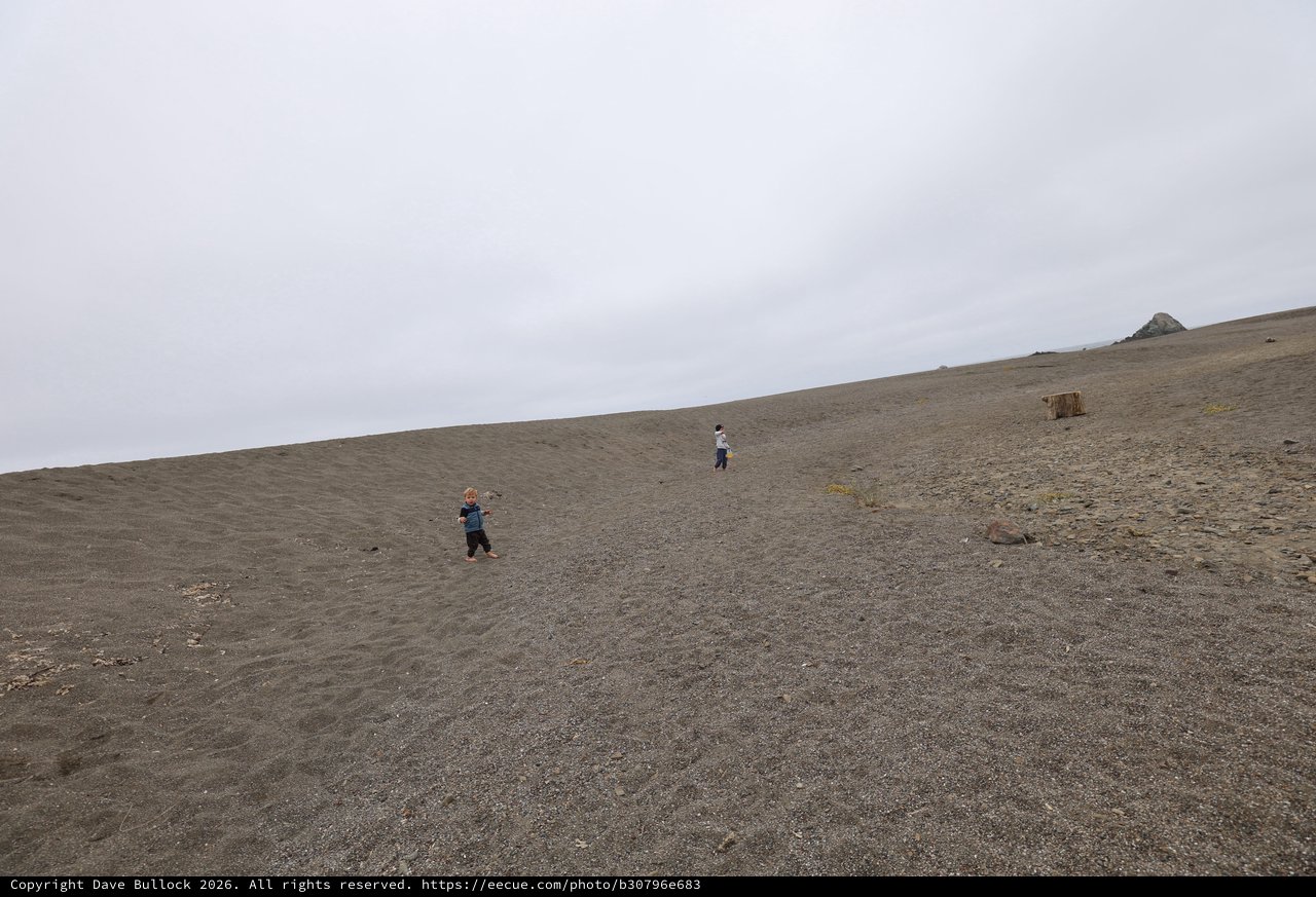 Children Exploring a Vast Dark Sand Dune