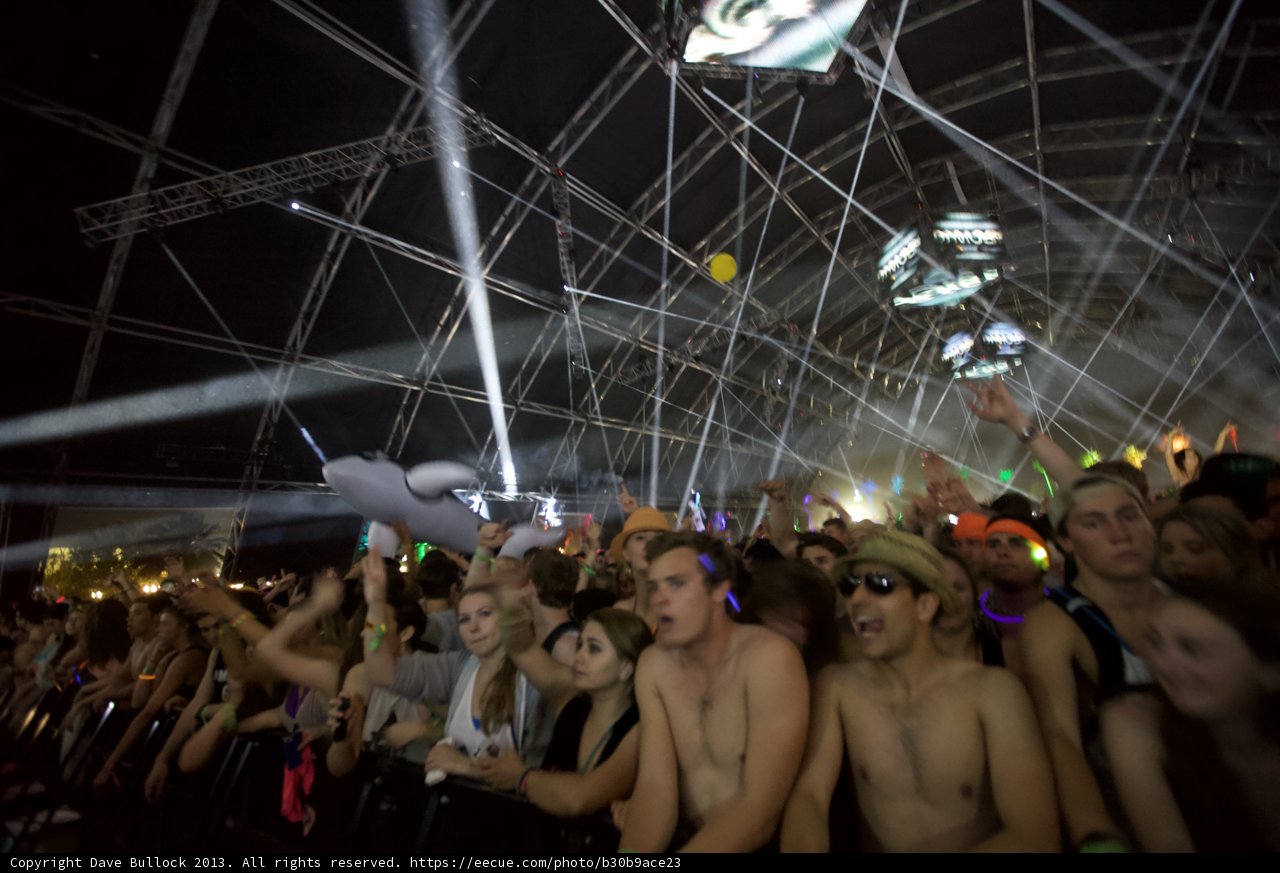 Coachella Madness