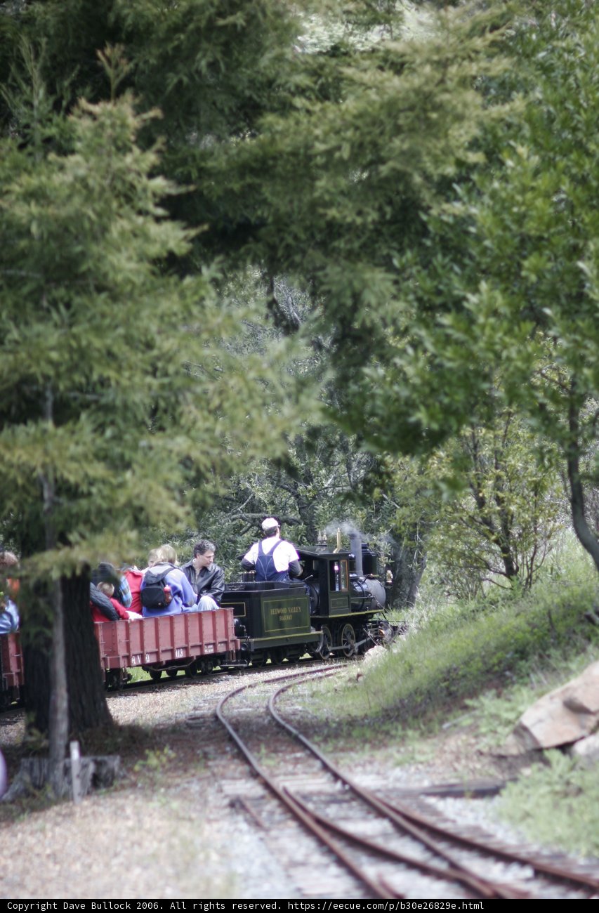 Riding the Rails Through the Scenic Countryside