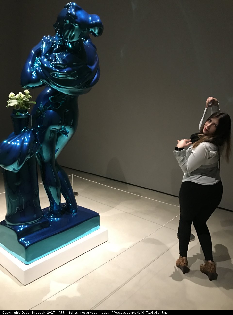 Capturing Artistic Beauty