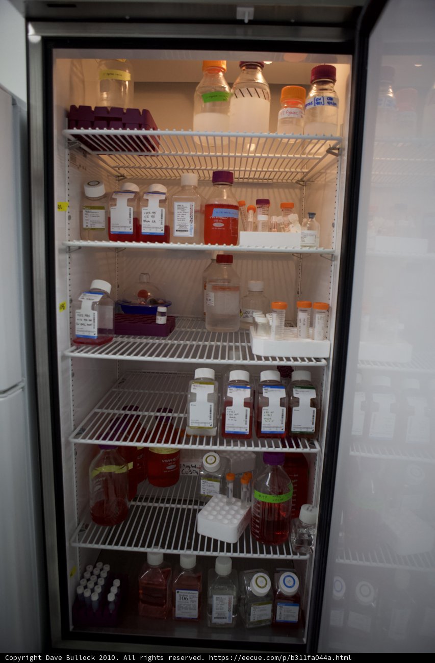 The Fully Stocked Refrigerator