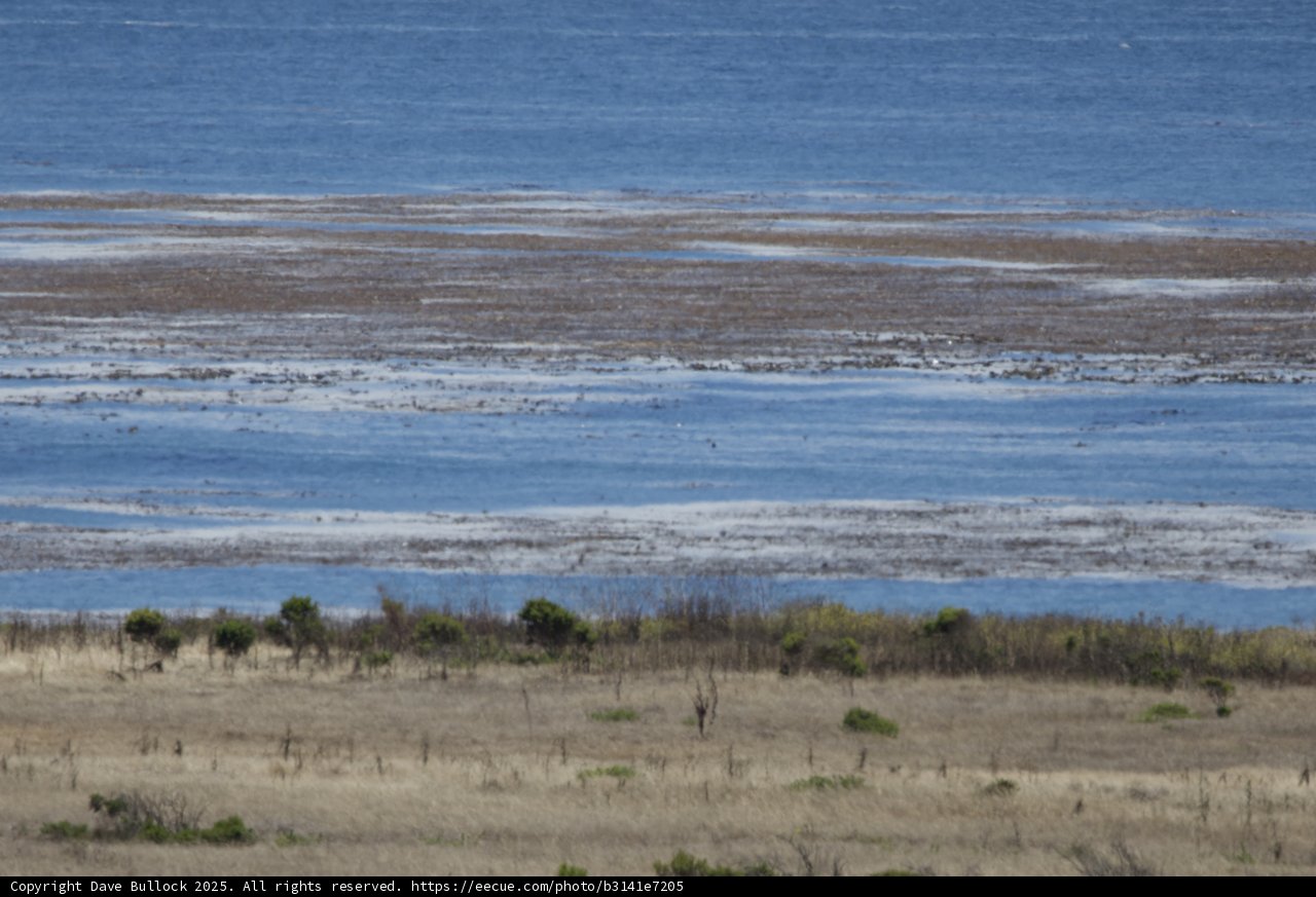Coastal Serenity in Cayucos