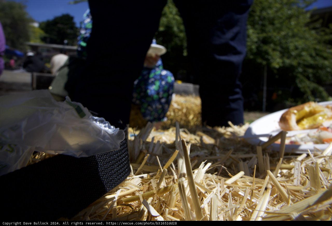 Rustic Charm at Alemany Farm's Earth Day Celebration