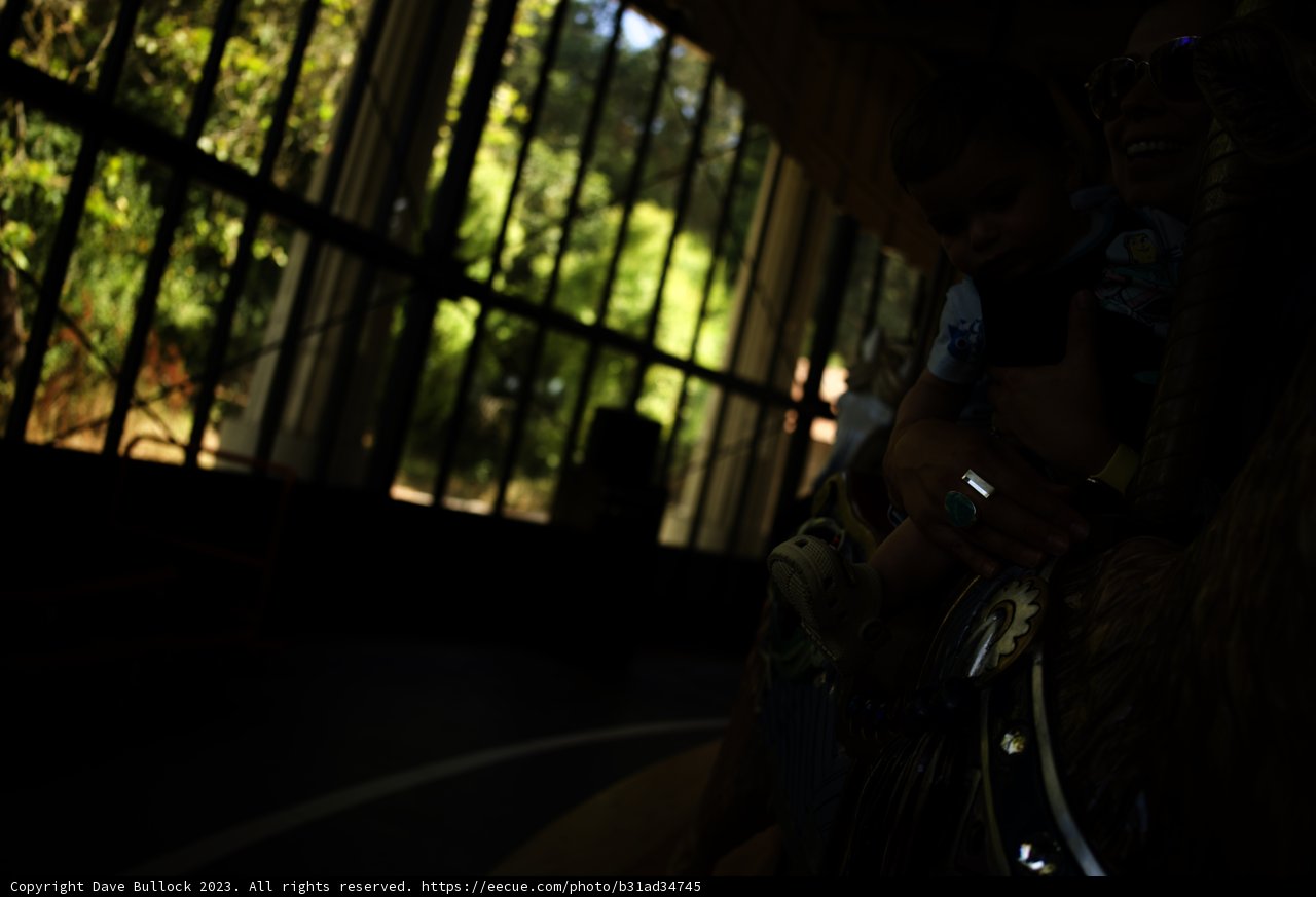 Mirthful Moments at the Golden Gate Park Carousel, 2023