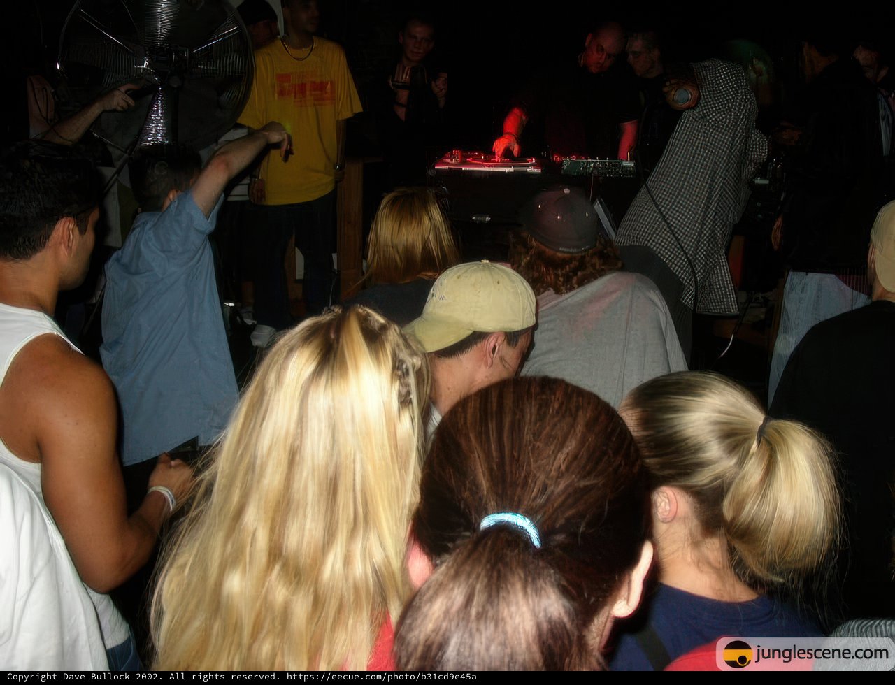 July 4th Party Crowd