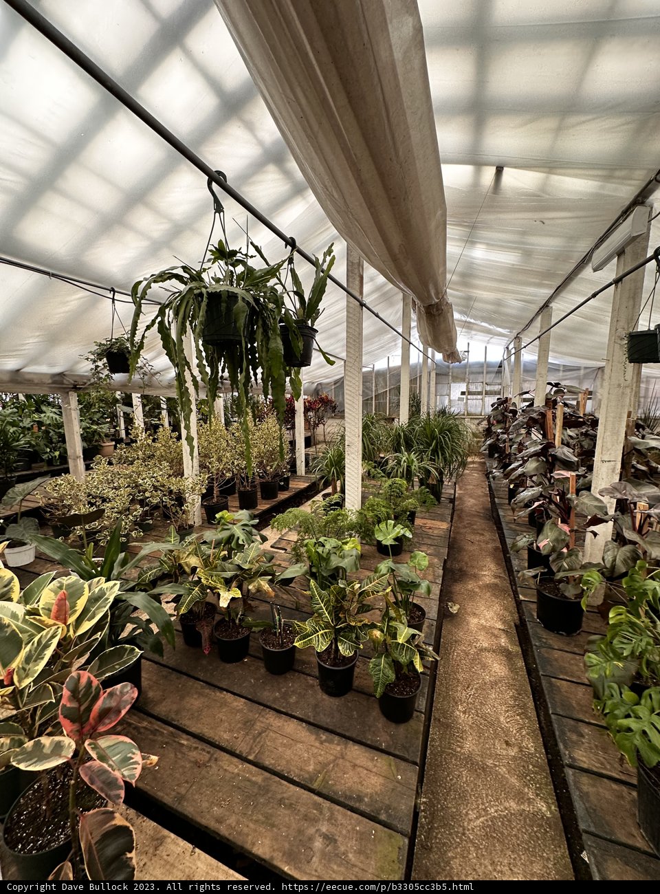 A Green Haven
