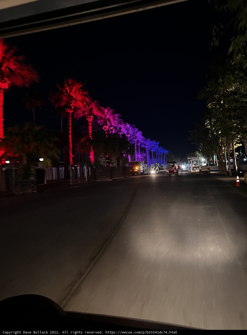 Night Drive Through the Palms