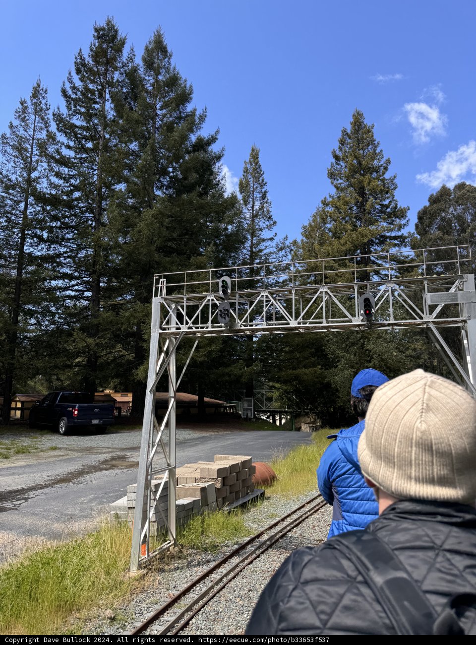 Journey Through the Pines