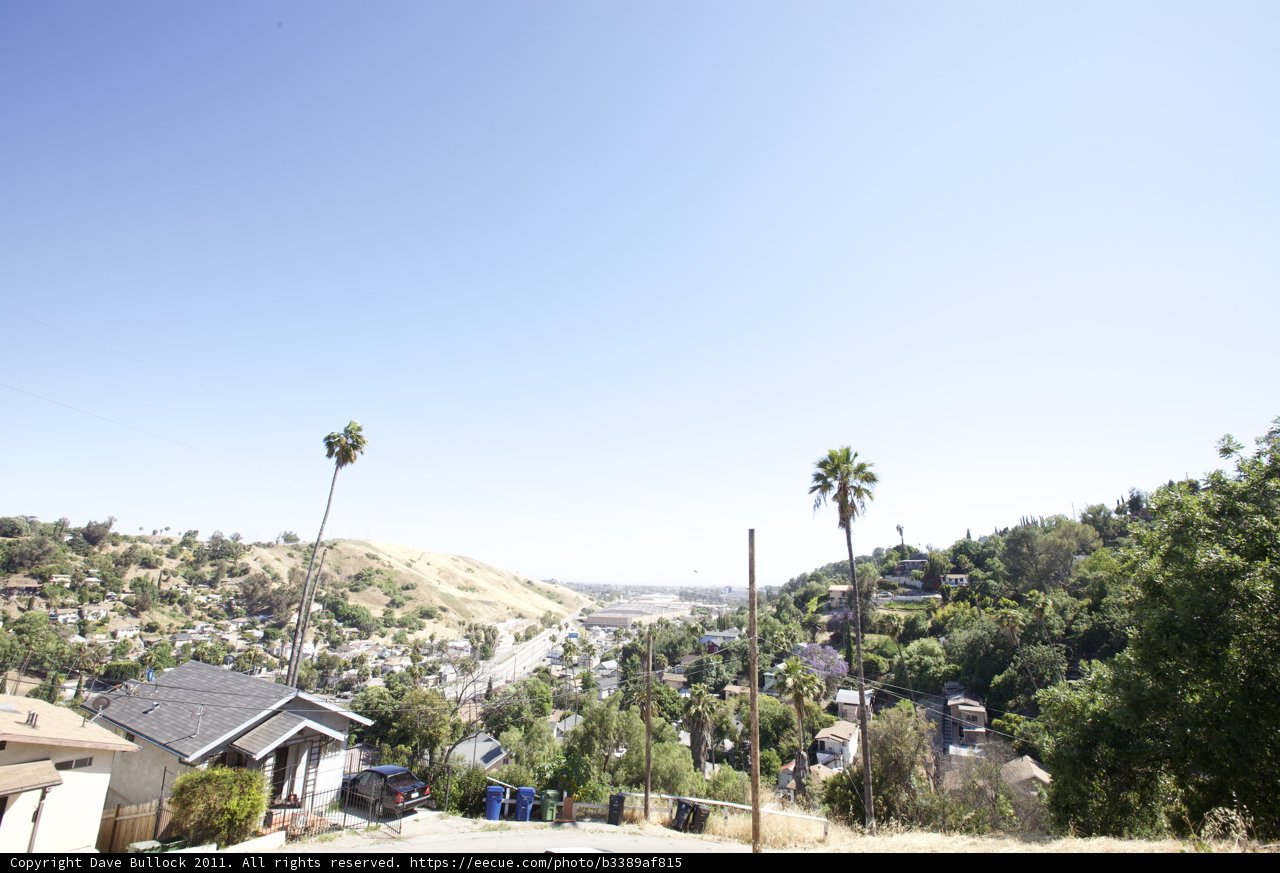 A Tranquil Neighborhood with Palm Trees