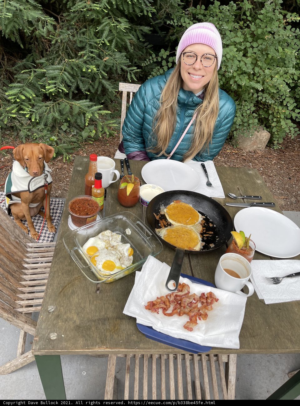 Brunch with a Furry Friend
