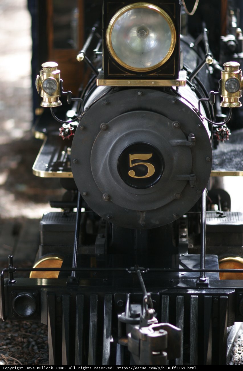 Black and Gold Locomotive at the Railway Station