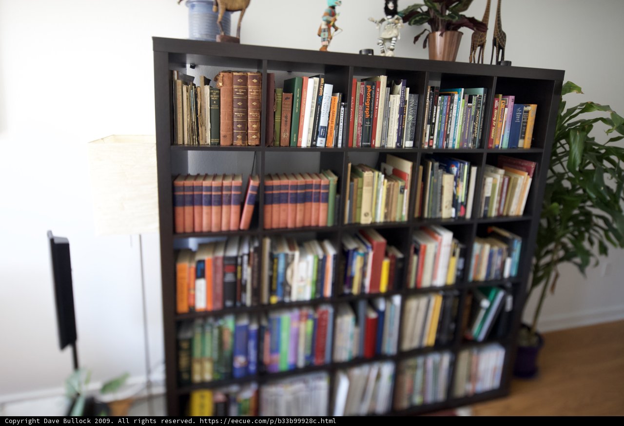 A Bibliophile's Haven