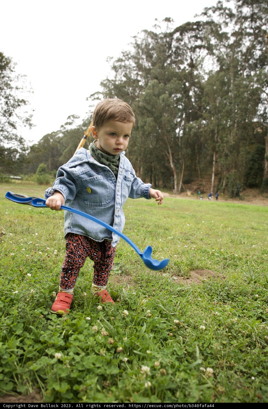 Joyful Playtime at Pine Lake Park