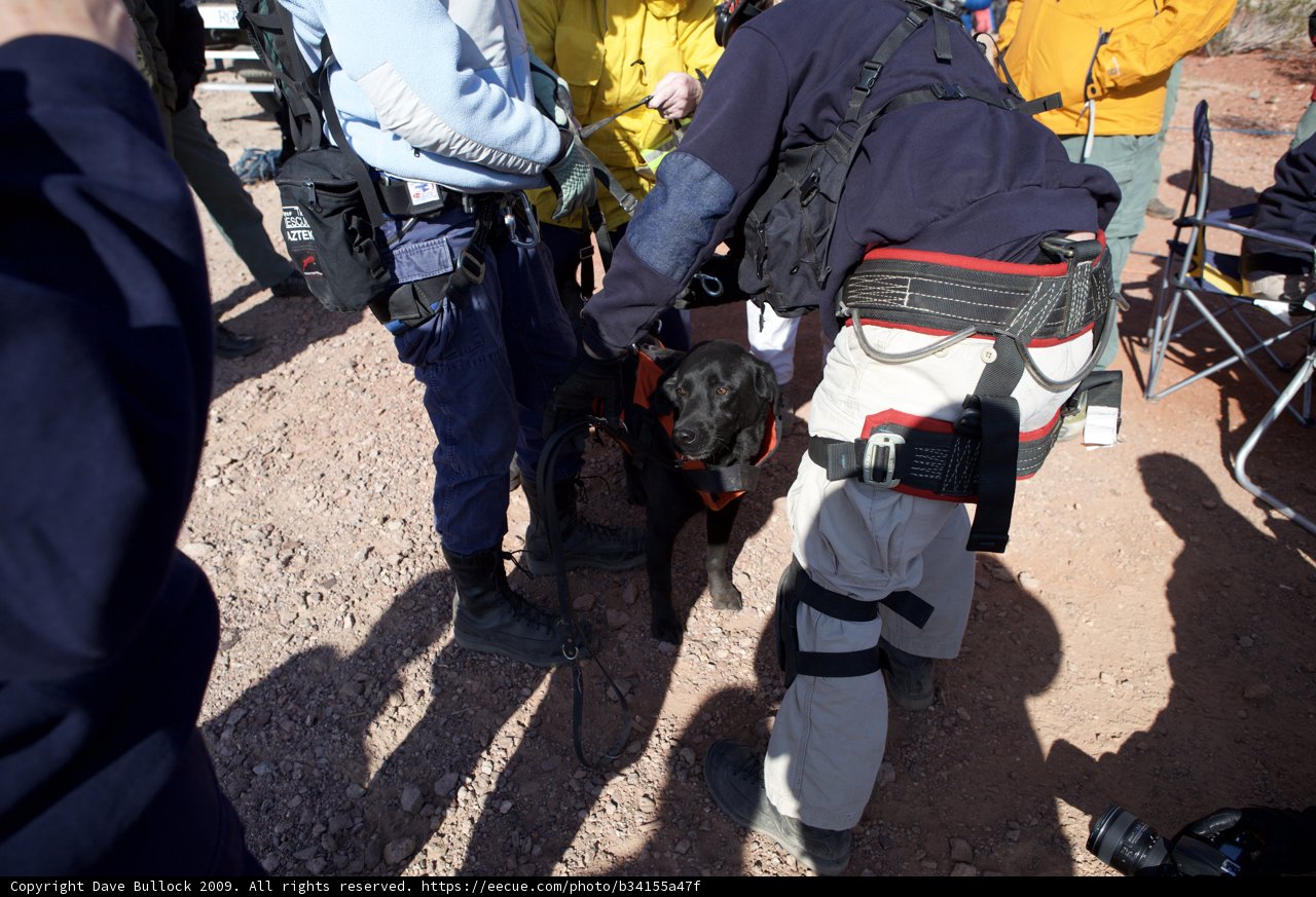 The Blue Jacket Rescue Team