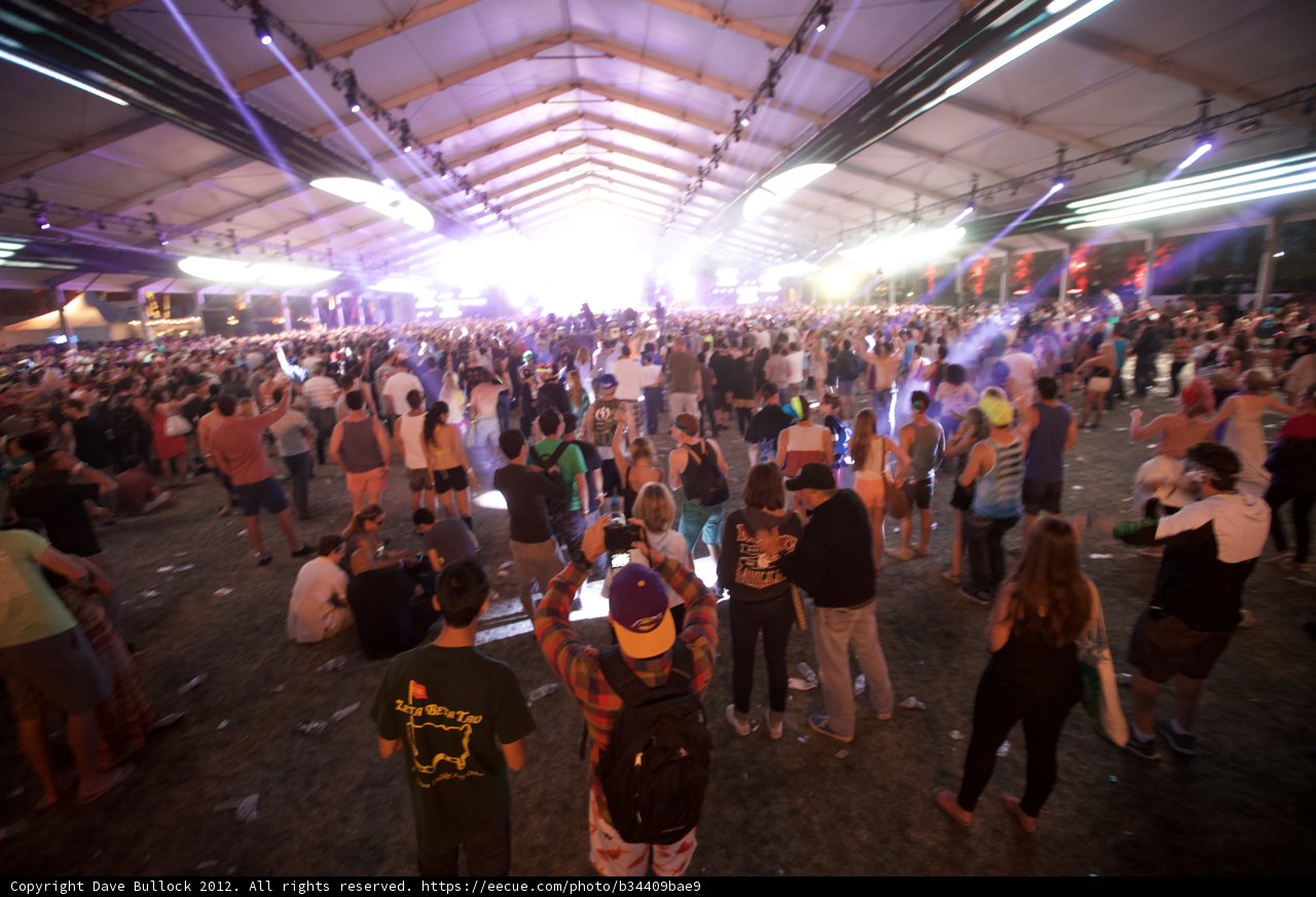 Festival Fun