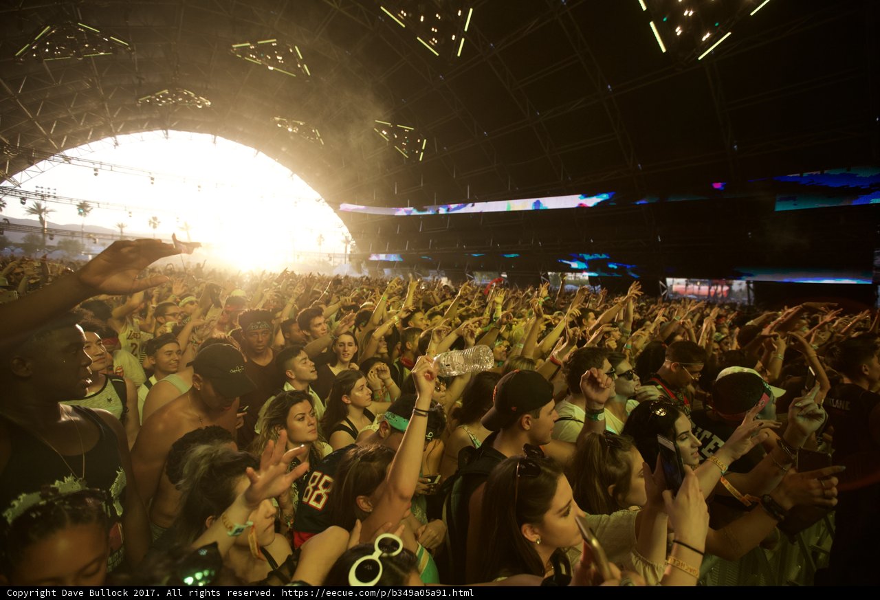 Coachella Crowd Goes Wild for Harley Quinn Smith