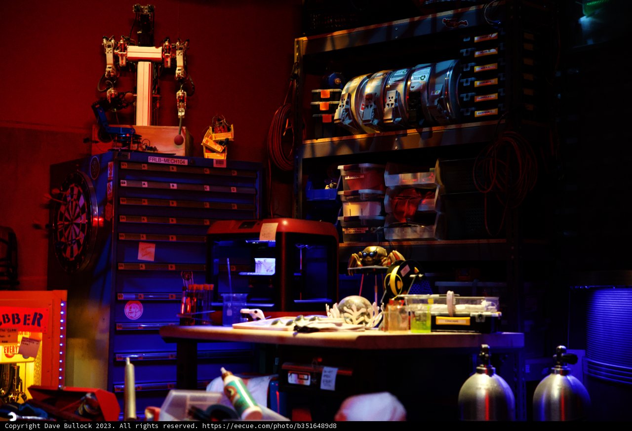The Curious Collection Room