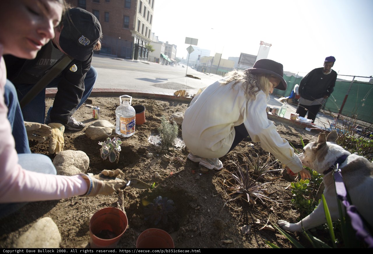 Guerilla Gardeners Planting New Life