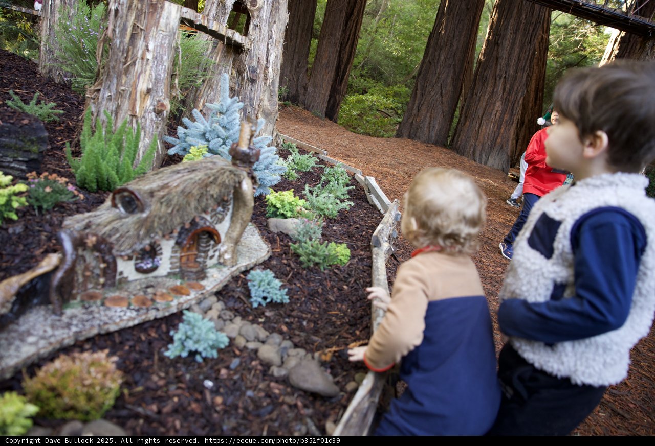 Enchanted Explorers at Thistlewyck